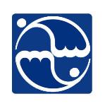 Logo ТОИ ДВО РАН